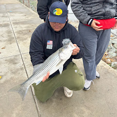 THEHIGHFISHERMAN