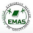 a1tnum7TXow-channel-avatar-EMAS