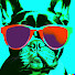 _kLtHFSiN_o-channel-avatar-Official Xformed music