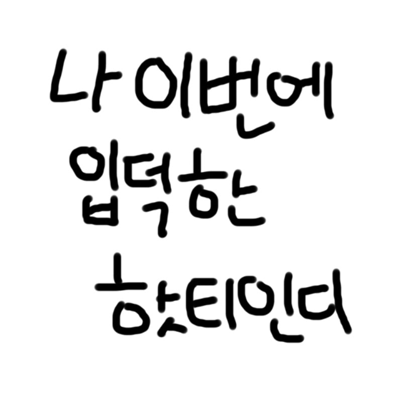 2PM콘서트가는게소원인사람