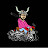 Biking Viking India