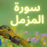 3I4Ef5dOzNw-channel-avatar-Al-Muzammil Daily HD