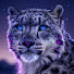 1c63F1HR_5Q-channel-avatar-TheLordCheesus