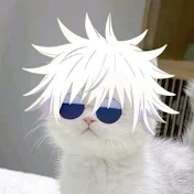WhiteFox0_0