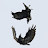 @damnnovember6340's avatar