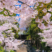 宮城県柴田郡川崎町小野湯田ライブカメラ