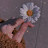 @AlySalama-qv7gr