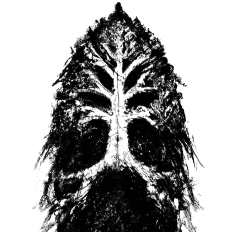 Foto de Beardes Tree