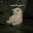 @مَلاڪ-مَعصومه