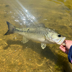 Backyard bait co.