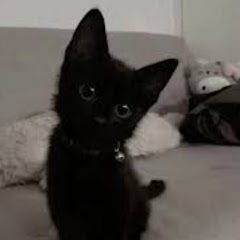 _Ixici-are-lăbuțe_