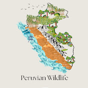 Peruvian Wildlife 