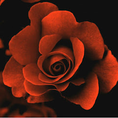 汽水不吃花QiShuiBuChiHuaアイコン画像