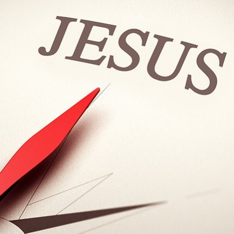 낮은울타리교회 Logo