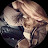 @Samar_muhmddd