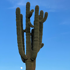 Dan Patrick Photography