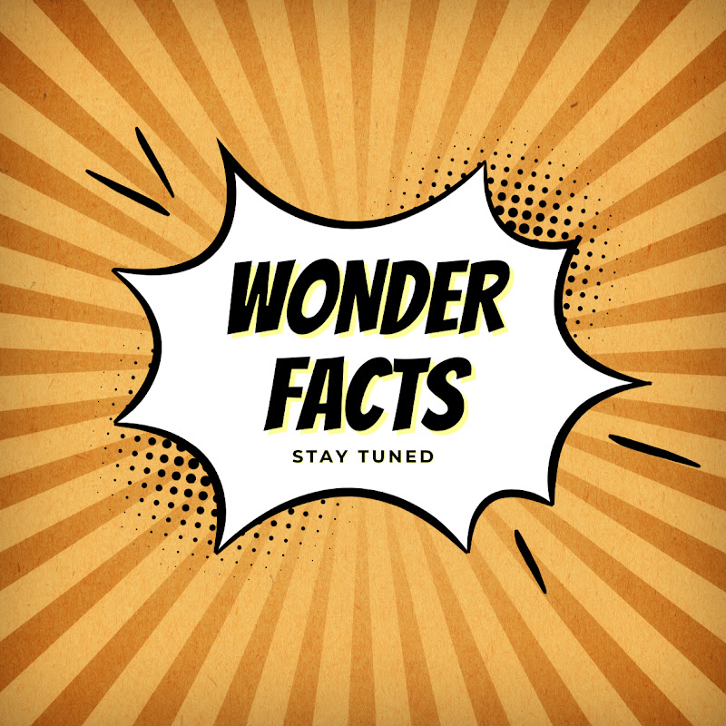 Hire Wonder facts — DIY Science Experiments (Educational) YouTube creator for sponsorships