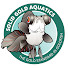 aD7vyDUnFL4-channel-avatar-Solid Gold Aquatics