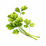Channel Image