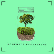 Homemade Ecosystems