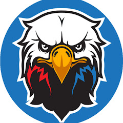 Back of The Nest - Crystal Palace Fan Channel