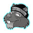HBWkazuyUu8-channel-avatar-Hey Look Squirrel