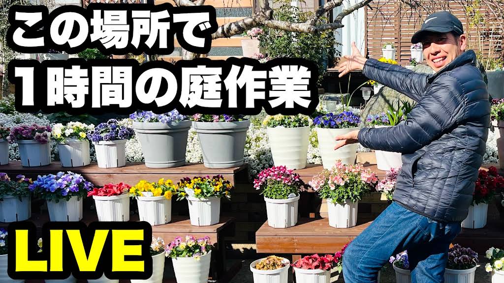 ■『ぽみんさん専用』ゆるふわ園芸やっちゃんねる ゆるふわ園芸やっちゃんねる - YouTube