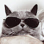 PetsFun Avatar