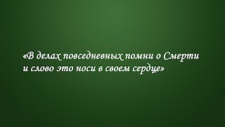 Заставка Ютуб-канала «Дмитрий ПОТАПЕНКО»