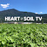 yD1gSAgm87Q-channel-avatar-Heart and Soil TV