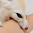 @김몽개