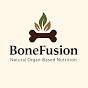 BoneFusion logo