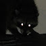 BBBZqifzKx0-channel-avatar-risky