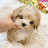 @똥꼬발랄콩이
