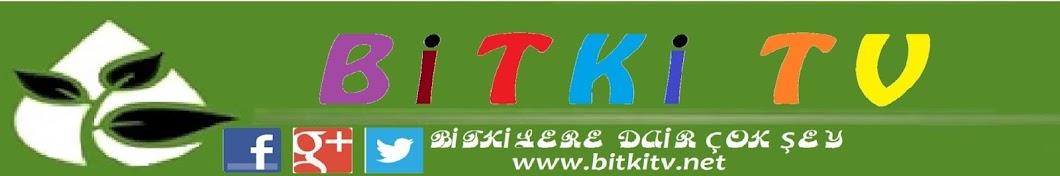 Bitki TV رمز قناة اليوتيوب