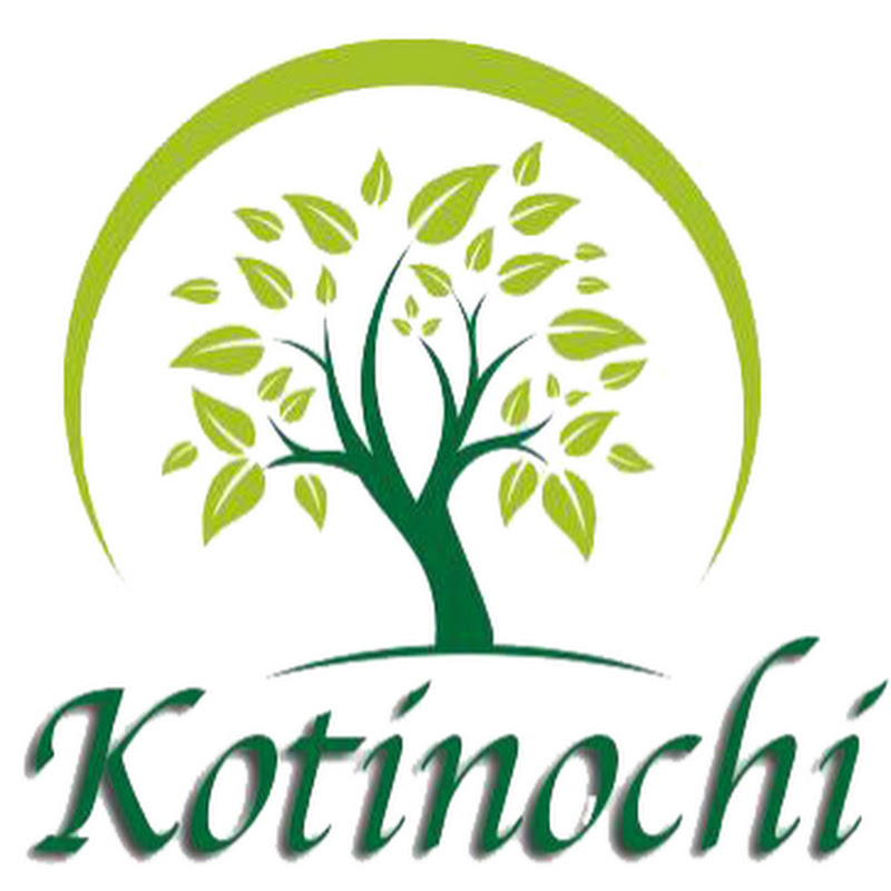 KOTINOCHI JSC