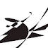 u-AtGGhRUnw-channel-avatar-LN