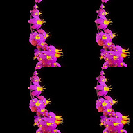 thumbnail img1x1