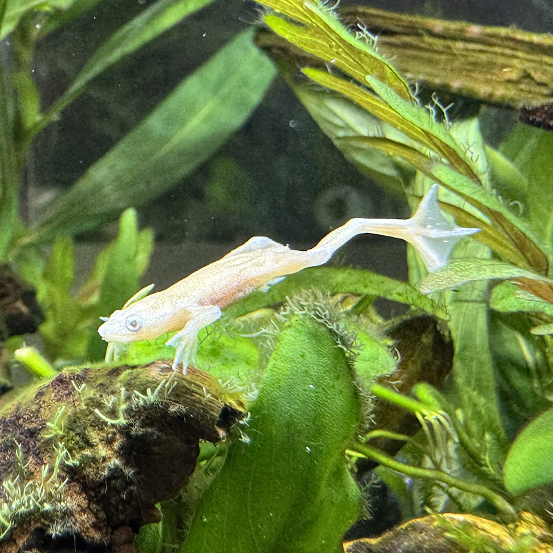 ゲイズマンズアクアリウム