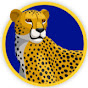 MacArthur Park Elementary School VAPA logo