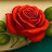 @user-bq2pt5vo5k