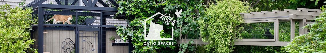 Catio Spaces YouTube channel avatar