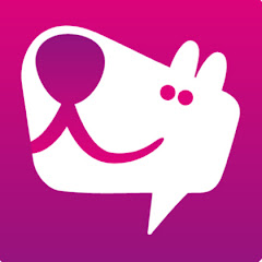 Hundeprofi Alex Angrick
