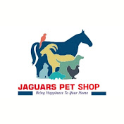 Jaguars Pet Shop