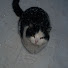 N846C8PcK2U-channel-avatar-kyanks