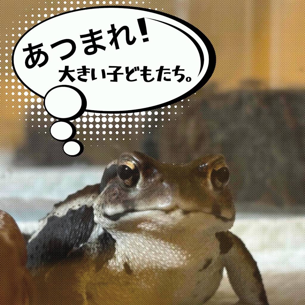 OHCHANNEL - YouTube
