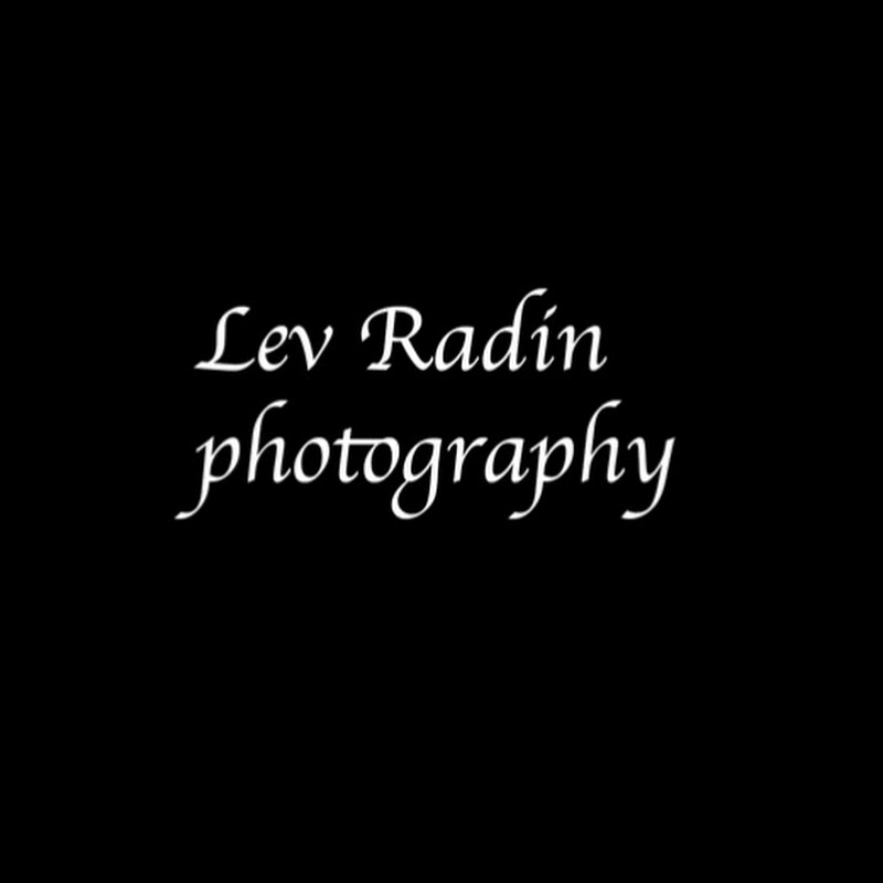 Lev Radin