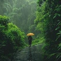 Rain and Thunder Studio 