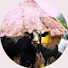 gKLoqpehNtI-channel-avatar-Pure African Style