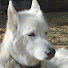 xWVI5GwNsZM-channel-avatar-Everything Parker